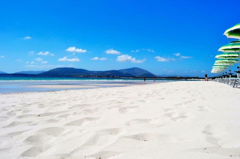 Suite delle Rondini Alghero Esterno foto